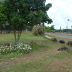 DSCF0038