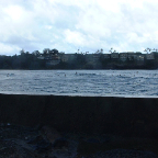 DSCF0043