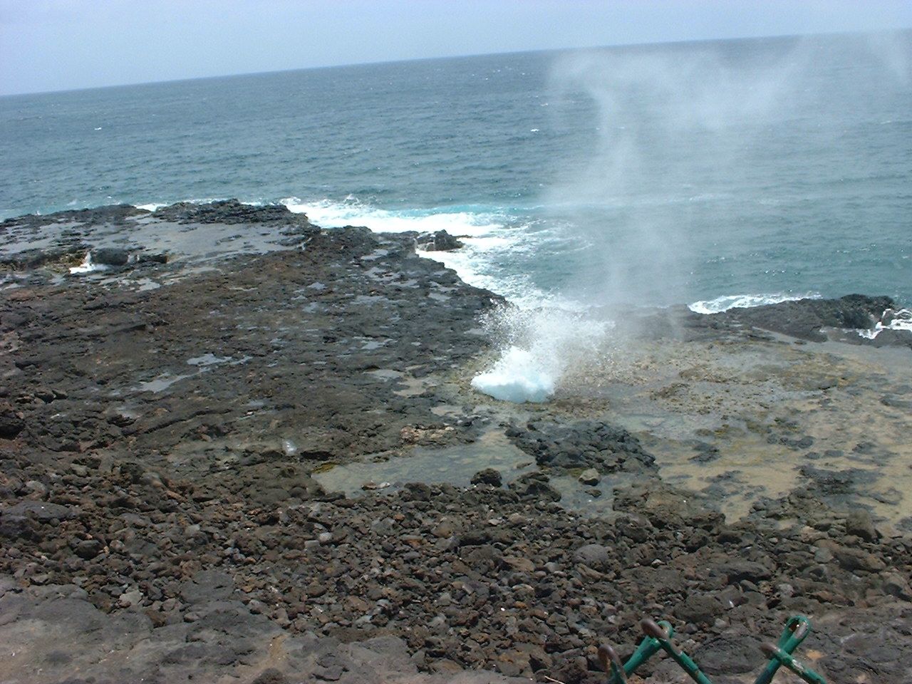 Loading Image