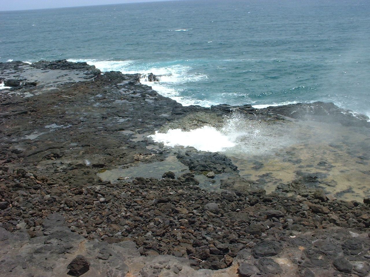 Loading Image