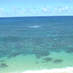DSCF0235
