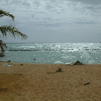 DSCF0374