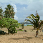 DSCF0376