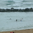 DSCF0383