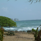 DSCF0388