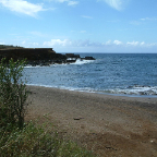 DSCF0408