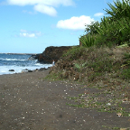 DSCF0411