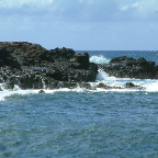 DSCF0420