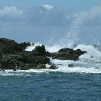 DSCF0421