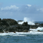 DSCF0422