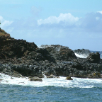 DSCF0423