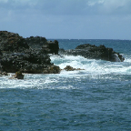 DSCF0424