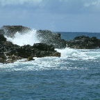 DSCF0425