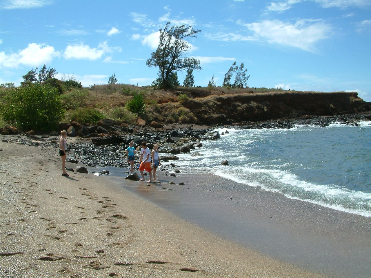 Loading Image