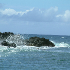 DSCF0428