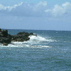 DSCF0429