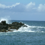 DSCF0433