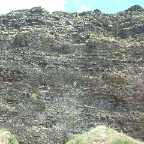 DSCF0460