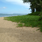 DSCF0463