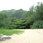 DSCF0472