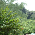 DSCF0478