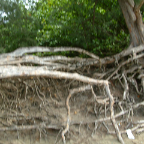 DSCF0479