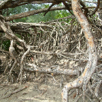 DSCF0485