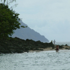 DSCF0489
