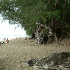 DSCF0494