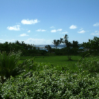 DSCF0511