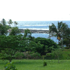 DSCF0513