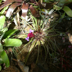 DSCF0517