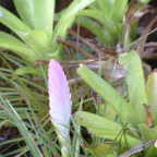 DSCF0518