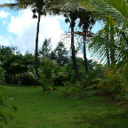 DSCF0524