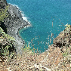 DSCF0536