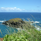 DSCF0542