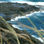 DSCF0544