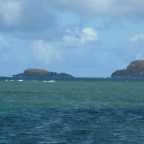 DSCF0549