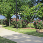 Little Rock 054