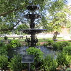 Little Rock 067