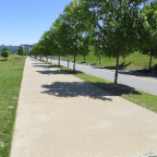 Little Rock 087