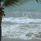 DSCF0007