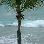 DSCF0008