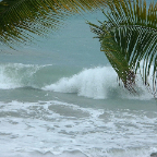 DSCF0009