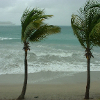 DSCF0011