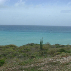 DSCF0026