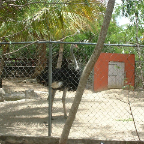 DSCF0035