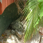 DSCF0036