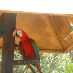 DSCF0038