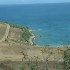 DSCF0207